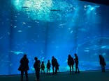 アクアワールド茨城県大洗水族館に投稿された画像（2023/12/17）