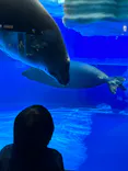 サンシャイン水族館に投稿された画像（2023/12/17）