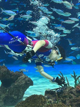 サンシャイン水族館に投稿された画像（2023/12/17）