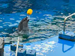 仙台うみの杜水族館に投稿された画像（2023/12/17）