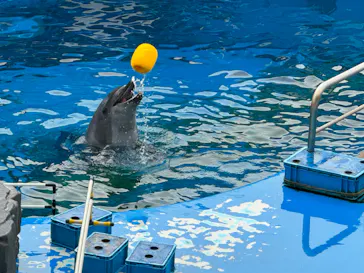仙台うみの杜水族館に投稿された画像（2023/12/17）