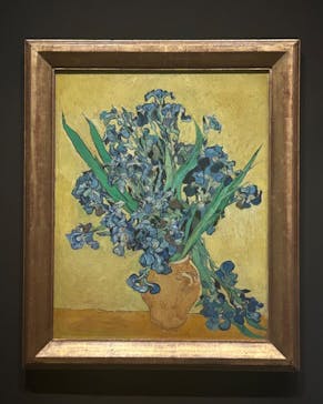 ゴッホと静物画　伝統から革新へ（SＯＭＰＯ美術館）に投稿された画像（2023/12/17）