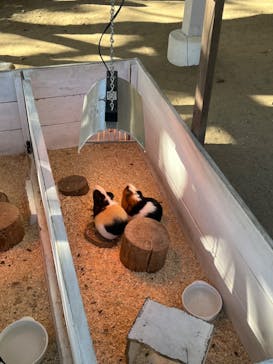 NESTA RESORT KOBE（ネスタリゾート神戸）に投稿された画像（2023/12/17）