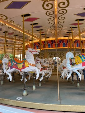 レオマリゾートに投稿された画像（2023/12/17）