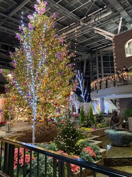 安城産業文化公園デンパークに投稿された画像（2023/12/17）