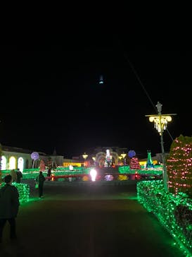 神戸イルミナージュに投稿された画像（2023/12/17）