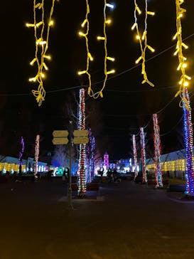 神戸イルミナージュに投稿された画像（2023/12/17）