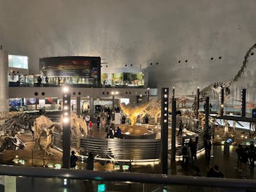 福井県立恐竜博物館に投稿された画像（2023/12/17）
