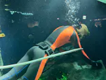 サンシャイン水族館に投稿された画像（2023/12/17）