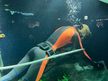 サンシャイン水族館に投稿された画像（2023/12/17）