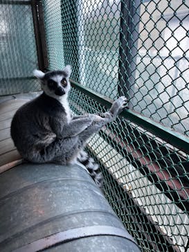 岩手サファリパークに投稿された画像（2023/12/17）