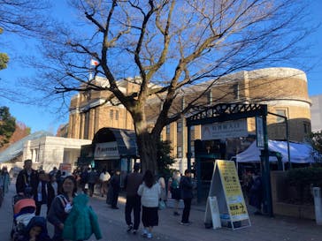 国立科学博物館に投稿された画像（2023/12/17）