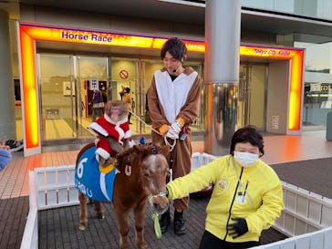 東京メガイルミに投稿された画像（2023/12/17）