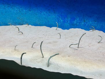 大分マリーンパレス水族館 「うみたまご」に投稿された画像（2023/12/17）