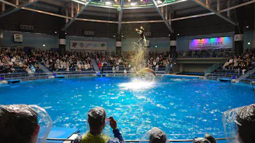 マクセル アクアパーク品川に投稿された画像（2023/12/17）