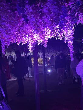 東京メガイルミに投稿された画像（2023/12/17）