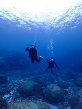 ちゃこたびに投稿された画像（2023/12/17）