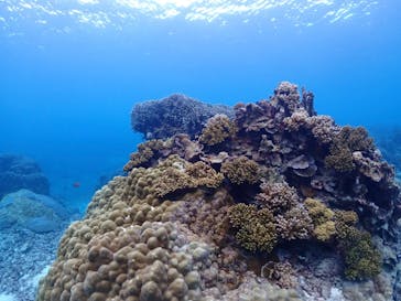 ちゃこたびに投稿された画像（2023/12/17）