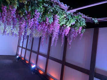 東京メガイルミに投稿された画像（2023/12/17）