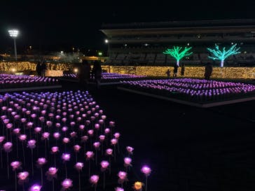 東京メガイルミに投稿された画像（2023/12/17）