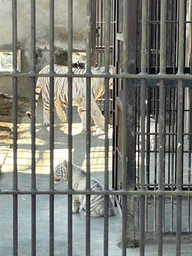 宇都宮動物園に投稿された画像（2023/12/17）
