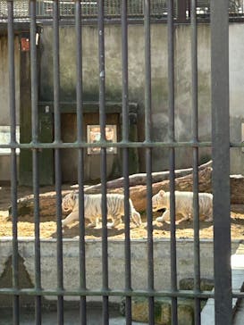 宇都宮動物園に投稿された画像（2023/12/17）