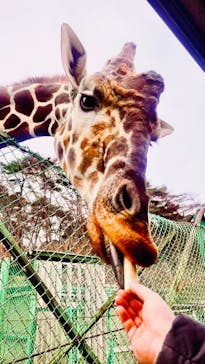 岩手サファリパークに投稿された画像（2023/12/17）