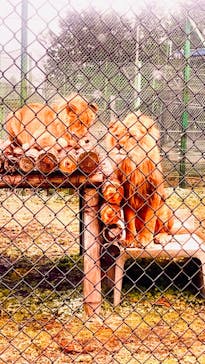 岩手サファリパークに投稿された画像（2023/12/17）