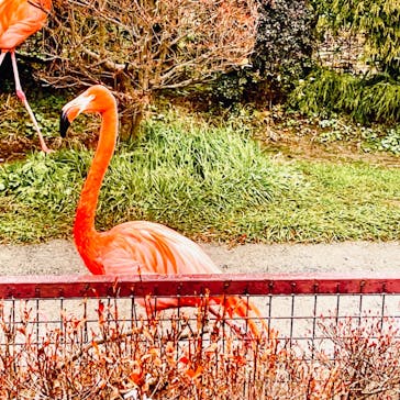 岩手サファリパークに投稿された画像（2023/12/17）