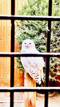 岩手サファリパークに投稿された画像（2023/12/17）