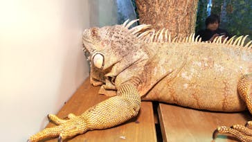 アニタッチみなとみらいに投稿された画像（2023/12/17）