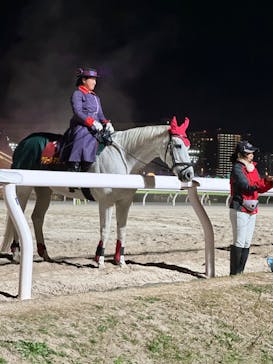 東京メガイルミに投稿された画像（2023/12/17）