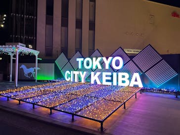 東京メガイルミに投稿された画像（2023/12/17）