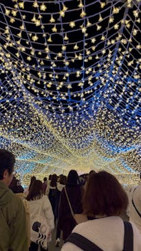 東京メガイルミに投稿された画像（2023/12/17）