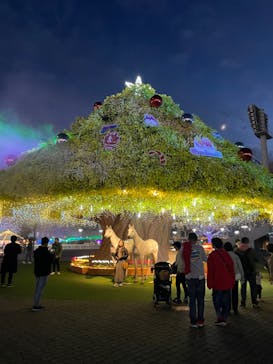 東京メガイルミに投稿された画像（2023/12/17）