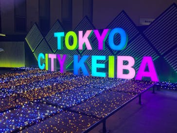 東京メガイルミに投稿された画像（2023/12/17）