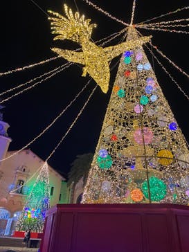 フェスタ・ルーチェに投稿された画像（2023/12/17）