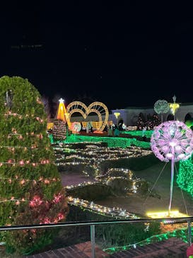 神戸イルミナージュに投稿された画像（2023/12/17）