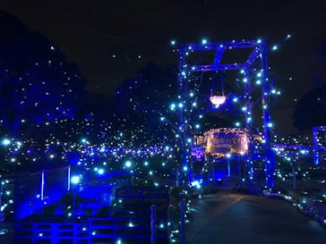 江の島シーキャンドルに投稿された画像（2023/12/17）