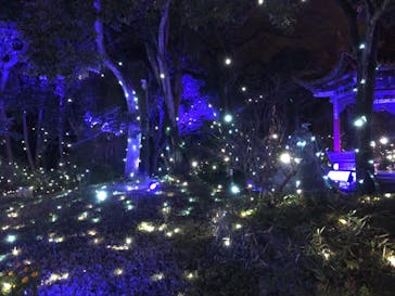 江の島シーキャンドルに投稿された画像（2023/12/17）