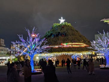 東京メガイルミに投稿された画像（2023/12/17）