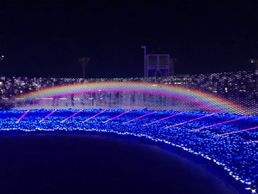 東京メガイルミに投稿された画像（2023/12/17）