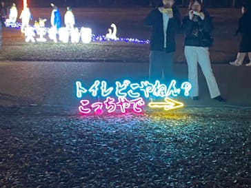 大阪城イルミナージュに投稿された画像（2023/12/17）