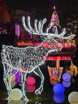 安城産業文化公園デンパークに投稿された画像（2023/12/17）