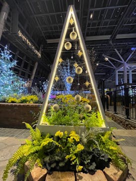 安城産業文化公園デンパークに投稿された画像（2023/12/17）