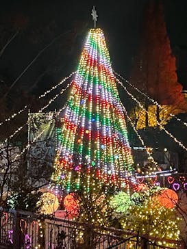 安城産業文化公園デンパークに投稿された画像（2023/12/17）