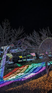 さがみ湖MORI MORIに投稿された画像（2023/12/17）