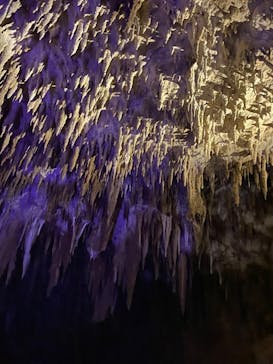 おきなわワールドに投稿された画像（2023/12/17）