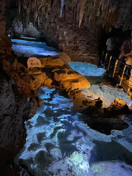 おきなわワールドに投稿された画像（2023/12/17）