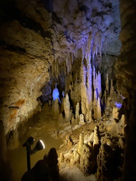 おきなわワールドに投稿された画像（2023/12/17）